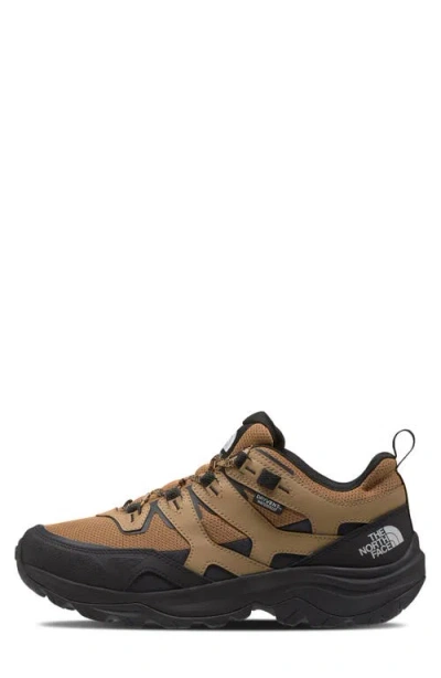 The North Face Hedgehog 3 Waterproof Hiking Shoe In Black