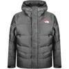 The North Face Himalayan 30 Parka Grey In Grey