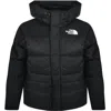 The North Face Hmlyn Down Parka In Black