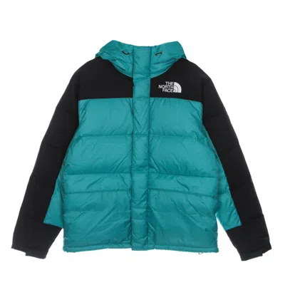 The North Face Himalayan Down Parka Men's Down Jacket Porcelain Green
