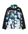 The North Face Hmlyn Insulated Jacket In Black