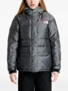 The North Face Himalayan Jacket
