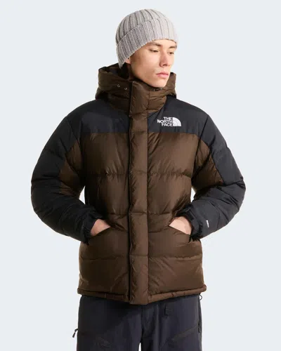 The North Face Hmlyn Down Parka Jacket In Brown