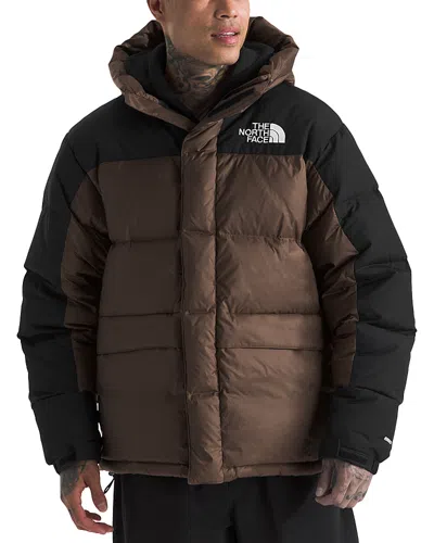 The North Face Hmlyn Down Parka In Smokey Brown