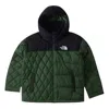 The North Face Hooded Full Zip Puffer Jacket 'green'