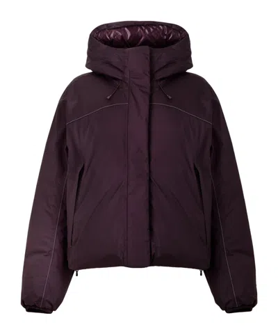 The North Face Hooded Padded Jacket In Brown