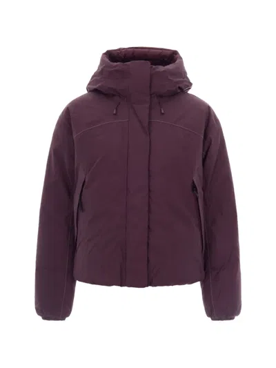 The North Face Hooded Padded Jacket In Purple