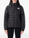 The North Face Black Terra Peak Hoodie Jacket In Black