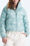 The North Face Hydrenalite 550-fill Power Down Hoodie In Blue