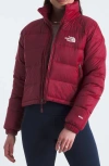 The North Face Long-sleeved Down Jacket In Beetroot