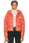 The North Face Hydrenalite Down Hoodie In Orange