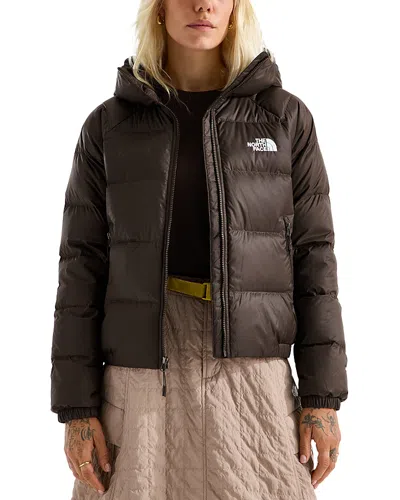 The North Face Hydrenalite Down Hoodie In Brown