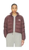 The North Face Nuptse Crop Jacket In Brown