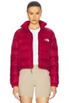 The North Face Hydrenalite Down Short Jacket In Beetroot