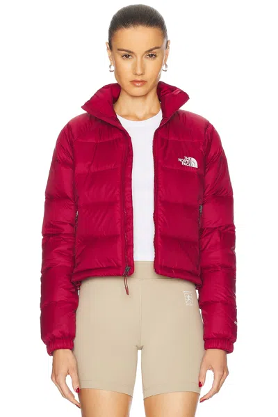 The North Face Hydrenalite Down Short Jacket In Beetroot
