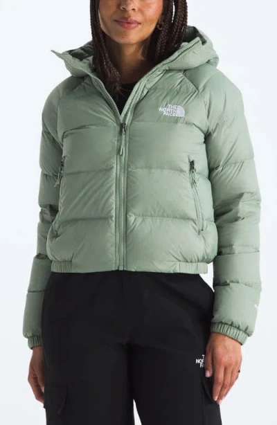 The North Face Hydrenalite Hooded Down Jacket In Burgundy