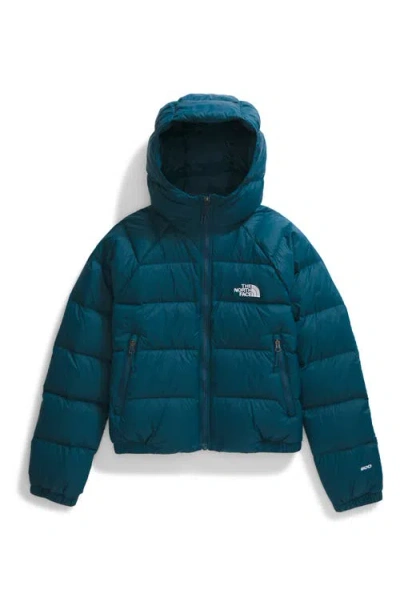 The North Face Hydrenalite Hooded Down Jacket In Midnight Petrol