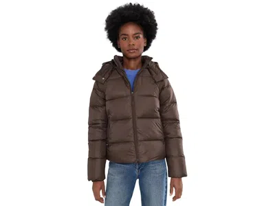 The North Face Hydrenalitetm City Down Hooded Jacket Women's Coat Dark Chestnut: Md, Down/nylon In Brown