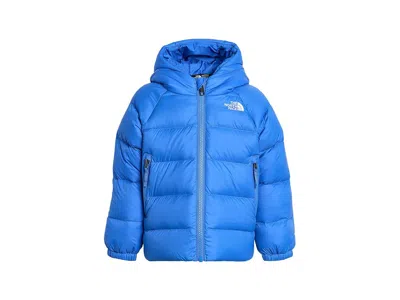 The North Face Hydrenalitetm Down Hooded Parka (toddler) Kid's Coat Active Blue: 3t Toddler, Polyester