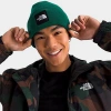 The North Face Inc Big Box Beanie Hat In Evergreen