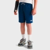The North Face Kids' Big Boys Never Stop Shorts In Estate Blue