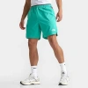 THE NORTH FACE THE NORTH FACE INC MEN'S PERFORMANCE SHORTS