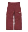 The North Face Insulated Freedom Ski Trousers In Red