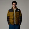 The North Face Jackets And Jackets Man  Nf0a89eg - Limbara 1ob1 Moss Green In Green