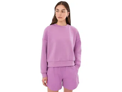 The North Face Jaida Crew Sweater Women's Sweater Hushed Lavender: Md In Purple