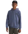 The North Face Kids 7-20 Evolution Snow Long Sleeve Hoodie In Blue