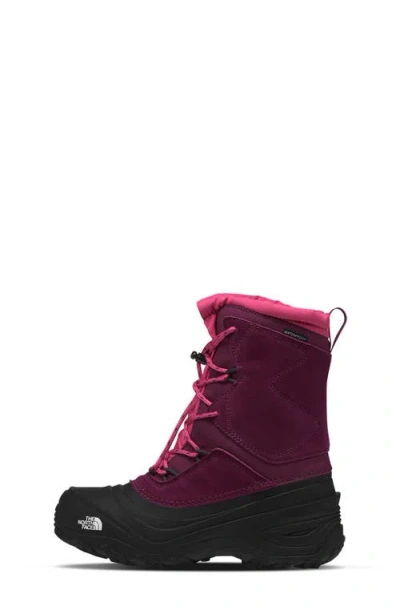 The North Face Kids' Alpenglow V Waterproof Boot In Multi