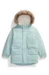 The North Face Kids' Arctic Waterproof 550-fill Power Down Parka With Faux Fur Trim In Muted Pine