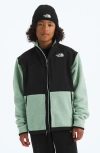 The North Face Kids' Denali Water Repellent Fleece Jacket In Multi
