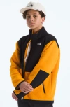 The North Face Kids' Denali Water Repellent Fleece Jacket In Yellow