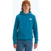 The North Face Kids' Evolution Cotton Blend Fleece Hoodie In Blue