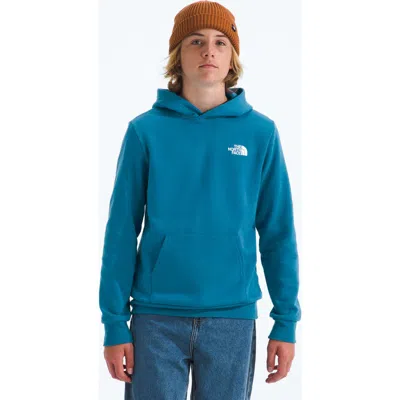 The North Face Kids' Evolution Cotton Blend Fleece Hoodie In Blue