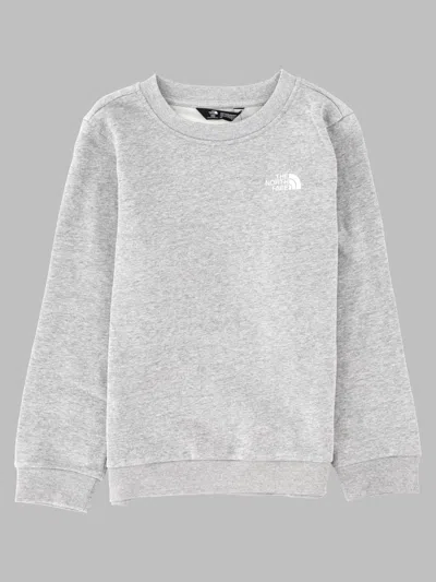 The North Face Teen Evolution Simpledome Crew Tnf In Gray
