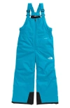The North Face Kids' Freedom Insulated Snow Bib Overalls In Blue