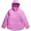 The North Face Kids' Freedom Waterproof Insulated Hooded Jacket In Dragonfruit