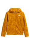 The North Face Kids' Glacier Polar Fleece Zip Hoodie In Orange