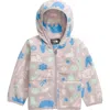 The North Face Babies'  Kids' Glacier Zip Hoodie In Moonstone Grey Multi Pitch