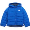 The North Face Boys Blue Kids Revers Perrito Shell Jacket 2-7 Years 3 In Tnf Blue