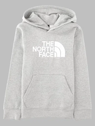 The North Face Kids Snowquest Jacket For Teens, Unisex In Grey