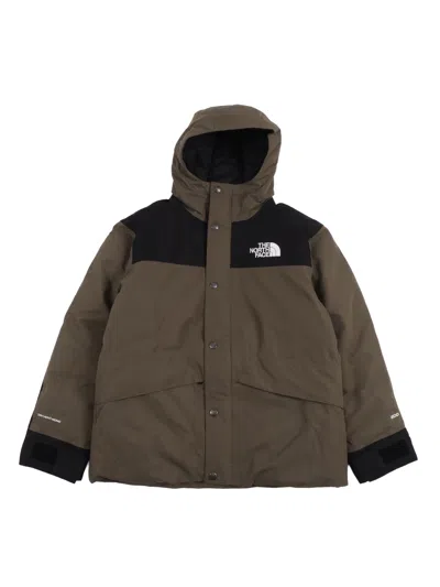 The North Face Kids Teen Mountain Down Jacket New Taupe Green