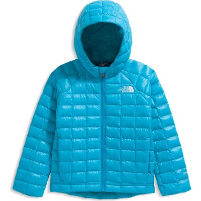 The North Face Kids' Thermoball™ Eco Hooded Jacket In Blue