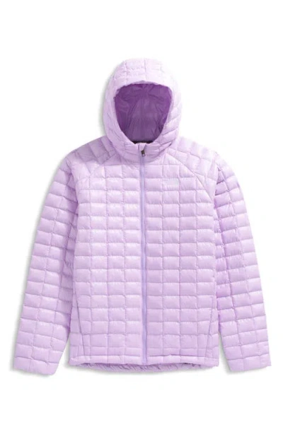 The North Face Kids' Thermoball Eco Hooded Jacket In Purple