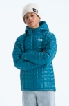 The North Face Kids' Thermoball Quilted Hooded Jacket In Blue