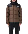 The North Face 1996 Retro Nuptse Down Jacket In Brown