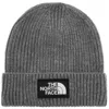 The North Face Logo Beanie Hat Grey In Grey
