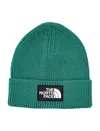 The North Face Cuffed Beanie With Logo Box Design In Green